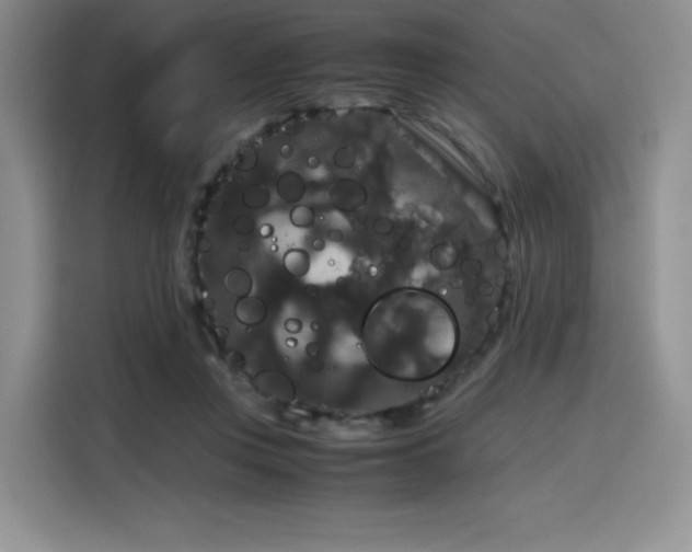 X0000116120359200911231220