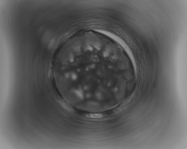 X0000116120361200911231220