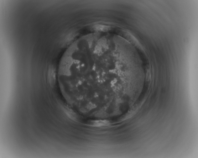 X0000116120363200911231220