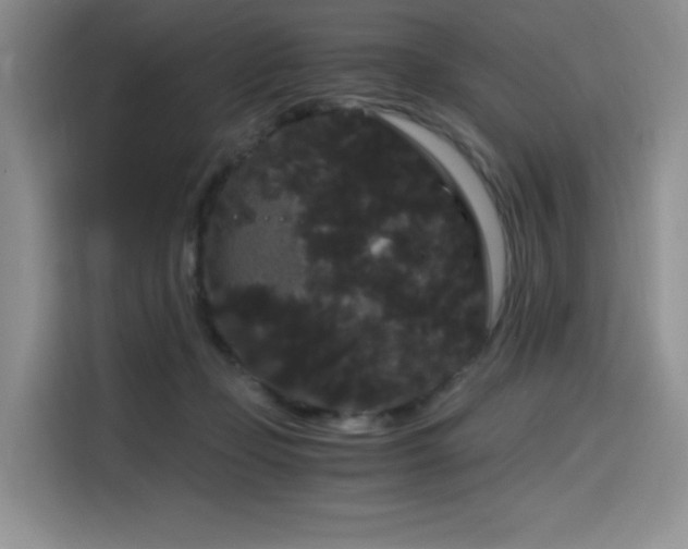 X0000116120365200911231220