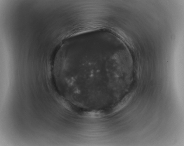 X0000116120366200911231220