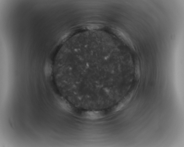 X0000116120367200911231220