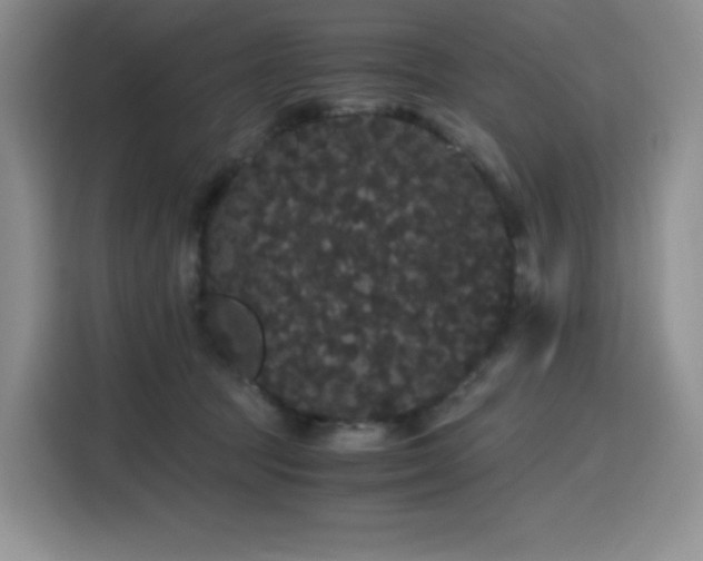 X0000116120369200911231220