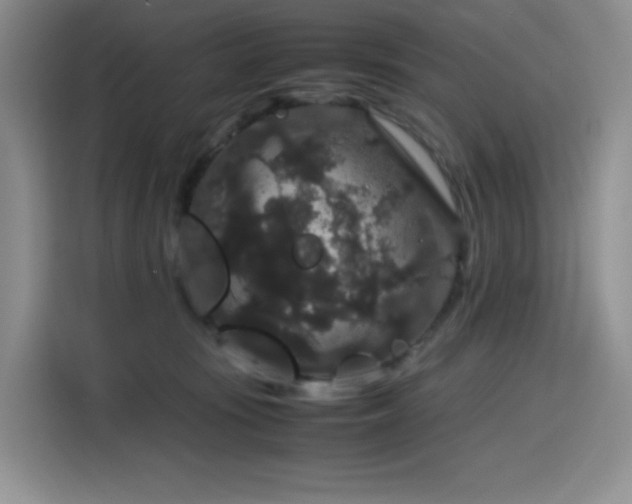 X0000116120371200911231220