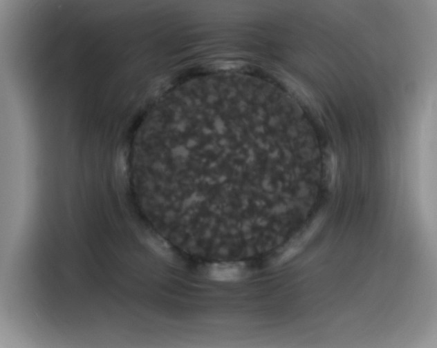 X0000116120373200911231220