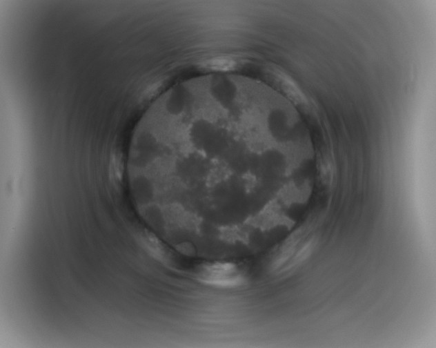 X0000116120374200911231220