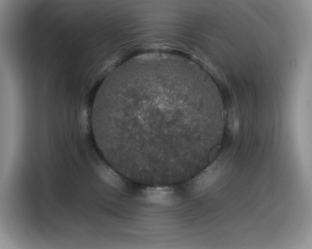 X0000116120378200911231220