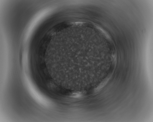 X0000116120381200911231220