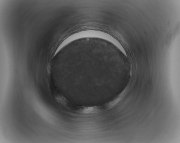 X0000116120382200911231220