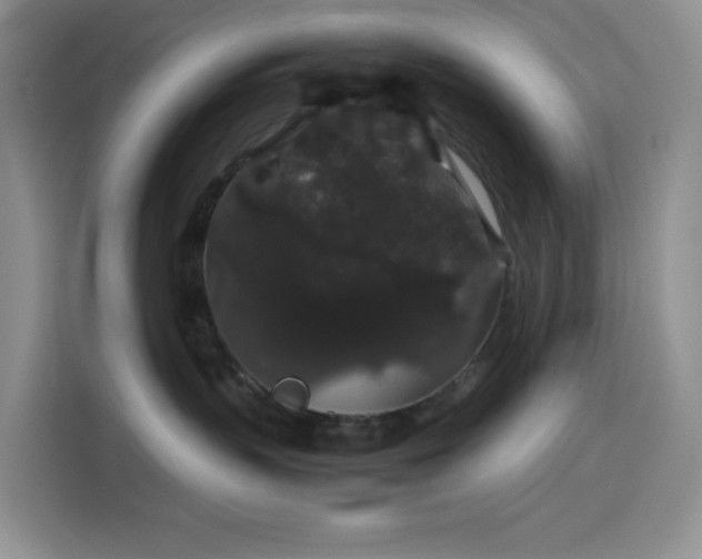 X0000116120383200911231220