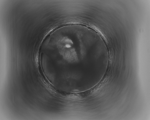 X0000116120386200911231219