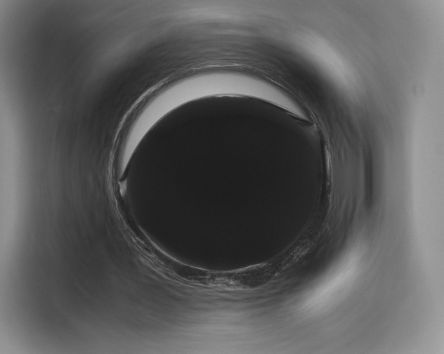 X0000116120387200911231219