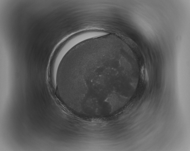 X0000116120388200911231219