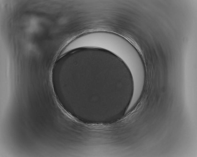 X0000116120389200911231219