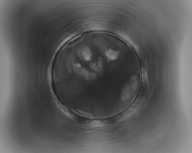 X0000116120390200911231219