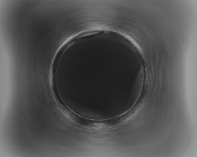 X0000116120391200911231219