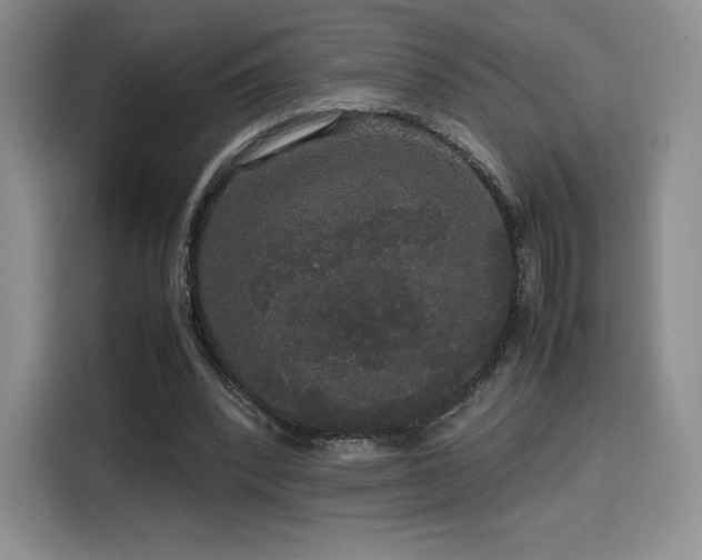 X0000116120392200911231219