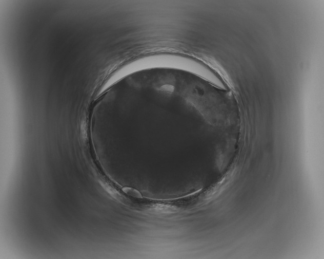 X0000116120393200911231219