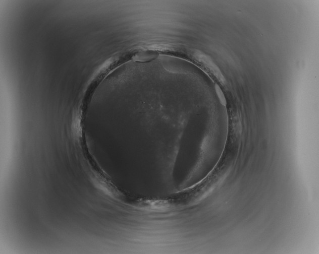 X0000116120395200911231219