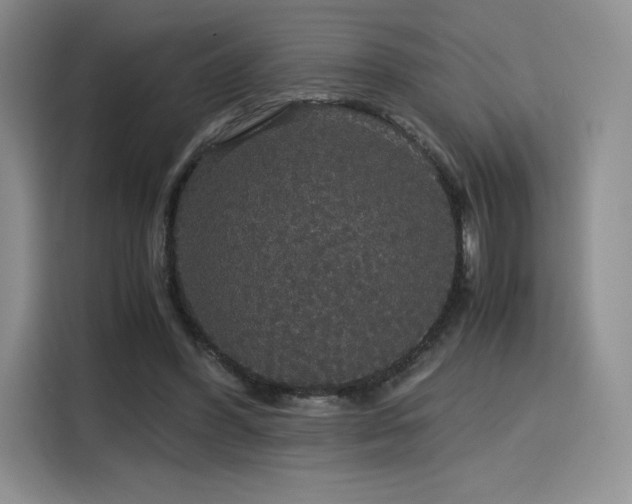 X0000116120396200911231219