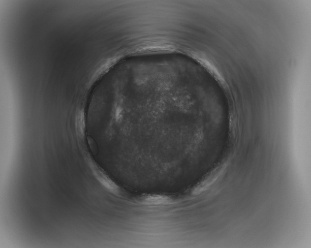 X0000116120397200911231219