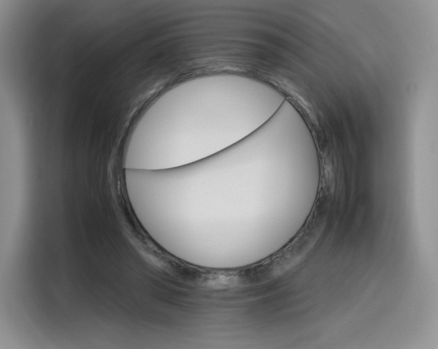 X0000116120398200911231219