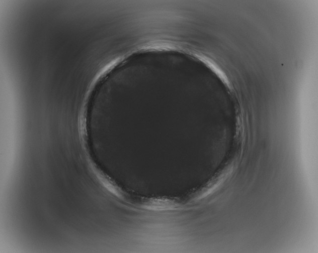 X0000116120399200911231219