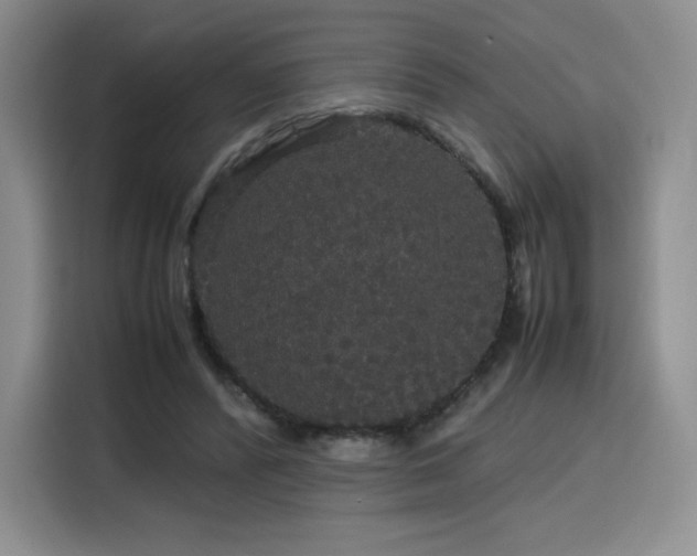 X0000116120400200911231219