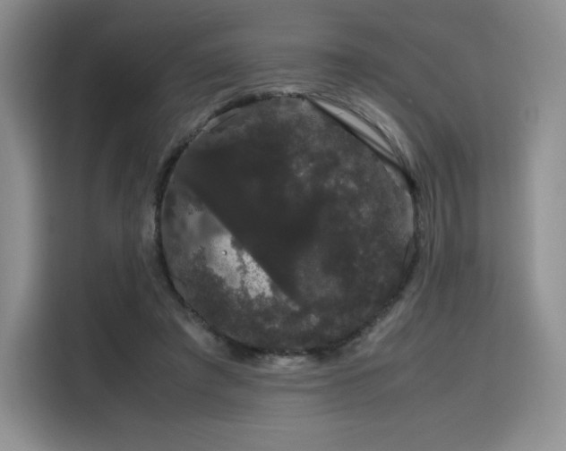 X0000116120401200911231219