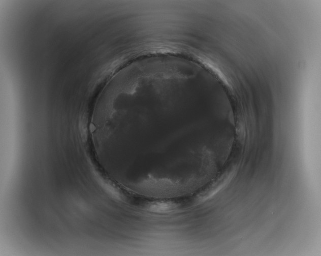 X0000116120402200911231219