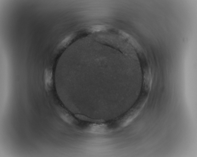 X0000116120403200911231219