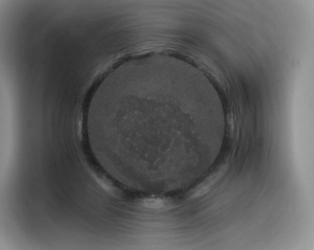 X0000116120404200911231219