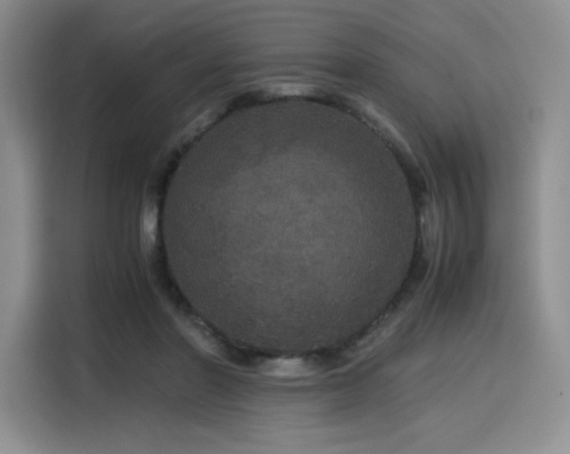 X0000116120406200911231219