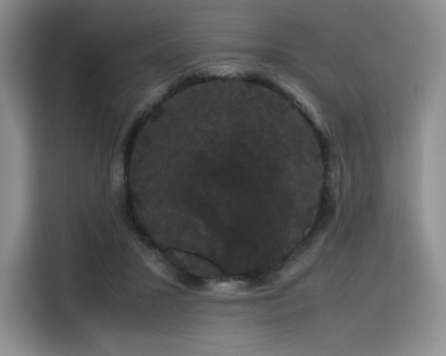 X0000116120407200911231219