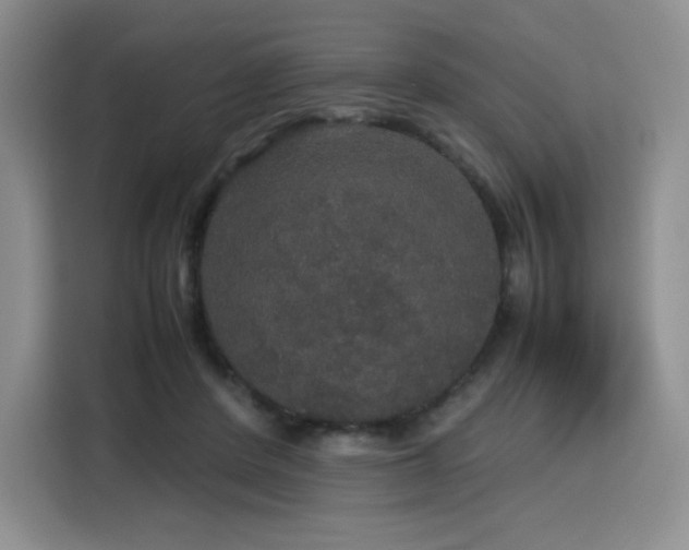 X0000116120408200911231219