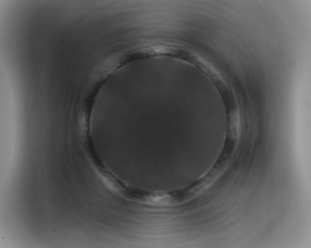 X0000116120410200911231219