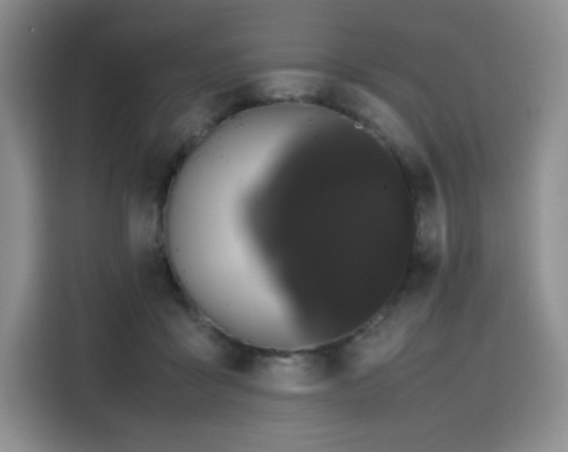 X0000116120411200911231219