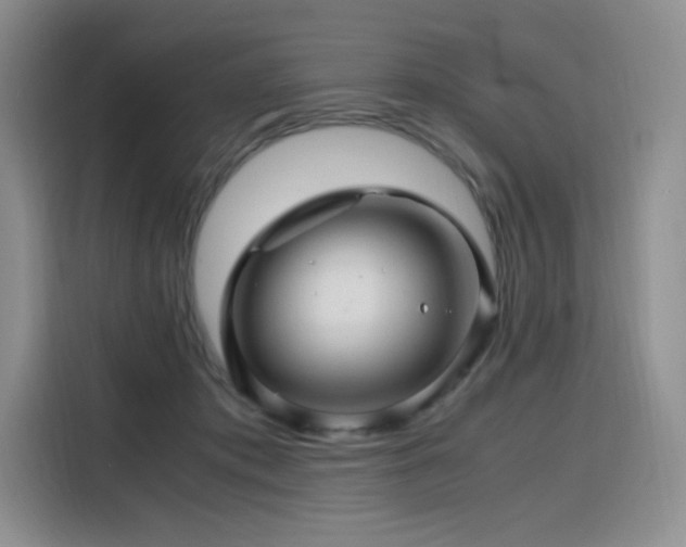 X0000116120413200911231219