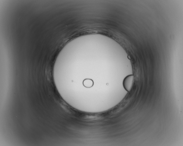 X0000116120414200911231219