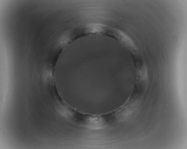 X0000116120415200911231219