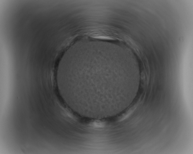 X0000116120416200911231219