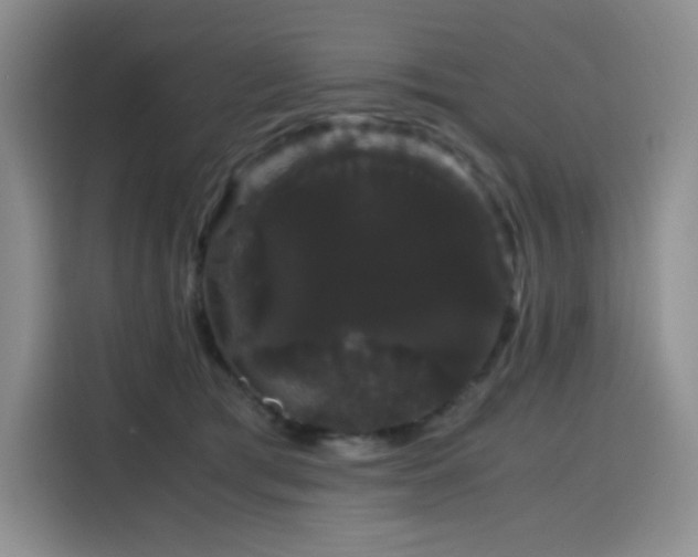 X0000116120417200911231219