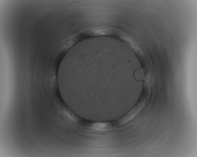 X0000116120418200911231219