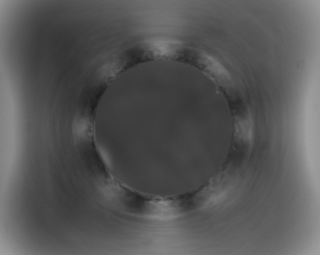 X0000116120419200911231219