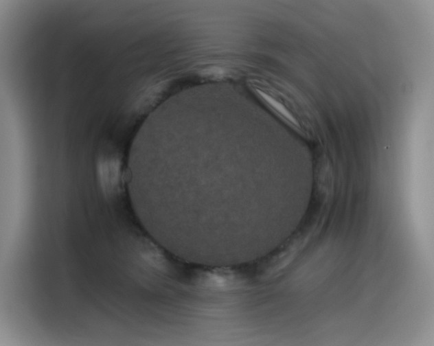 X0000116120420200911231219