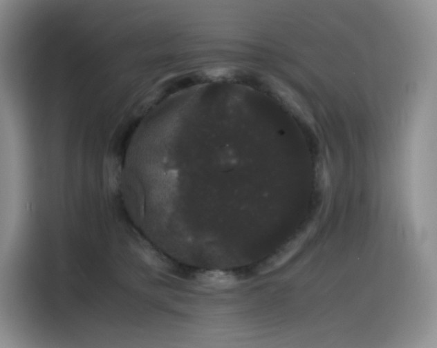 X0000116120421200911231219