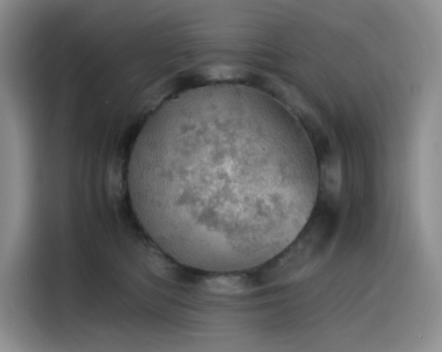 X0000116120422200911231219