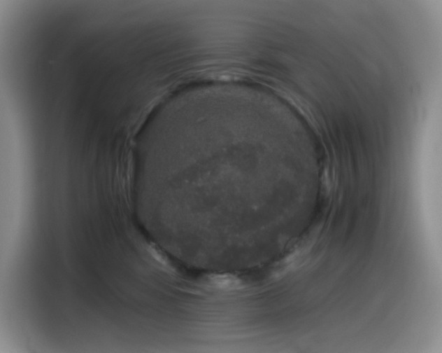 X0000116120424200911231219