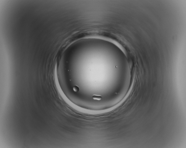 X0000116120425200911231219