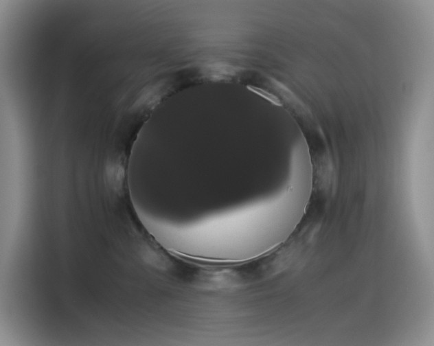 X0000116120427200911231219